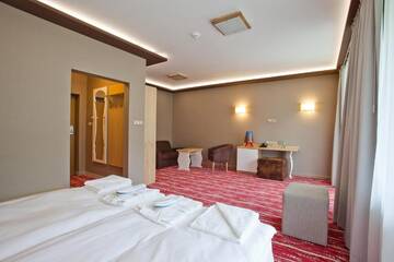 Фото номера Классический люкс Отель Hotel Piwniczna SPA&amp;Conference г. Пивнична 3
